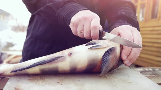 Cook cleaning the fish an outdoor on the sun background in slowmotion. 1920x1080