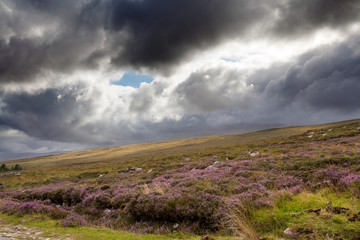 Obraz premium Highlands, Scotland