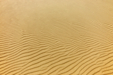 Abstract sand background