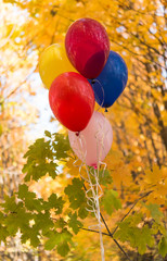 Balloons on a background of autumn leaves