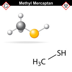 Methyl mercaptan molecule