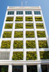 Eco architecture. Building with hydroponic plants instead of windows. Ecology house concept