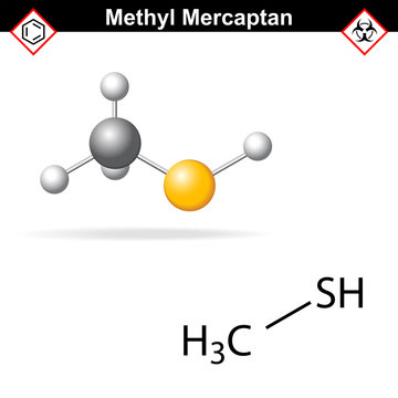 Methyl mercaptan molecule