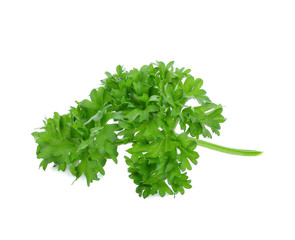 parsley isolated on a white background