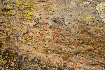 Rock Surface background 