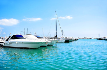 Fototapeta premium Sail boat harbor