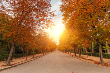 Obraz premium Autumn landscape with road and beautiful colored trees.