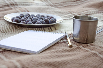 Open empty notebook, pen and berry plum. Selective focus, space for text.