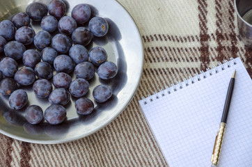 Open empty notebook, pen and berry plum. Selective focus, space for text.