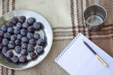 Open empty notebook, pen and berry plum. Selective focus, space for text.