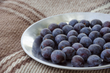 Fresh organic plums served in a plate on a plaid at nature background.