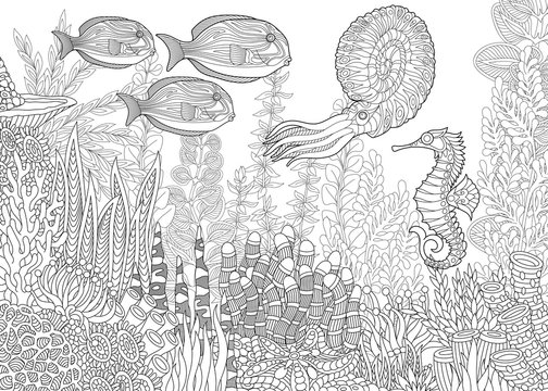 Stylized composition of tropical fish, seahorse, calamari (squid), underwater seaweed, corals and starfish. Freehand sketch for adult anti stress coloring book page with doodle and zentangle elements.