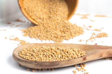Mustard seeds into a spoon in white background