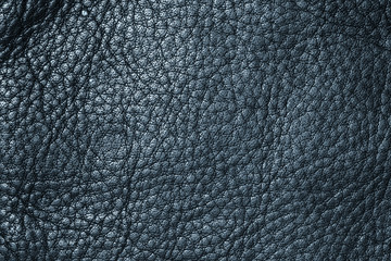 Deep blue leather texture or leather background for design with copy space for text or image.