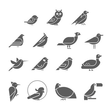 Vector bird icon set