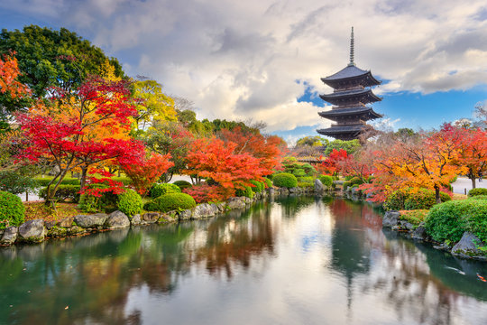 Toji Pagoda in Kyoto, Japan during autumn.