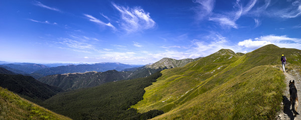 Naklejka na ściany i meble walking in the mountains