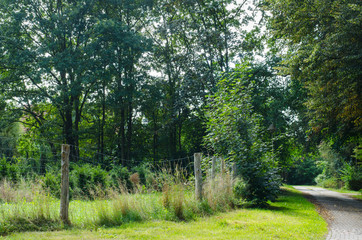 Fototapeta na wymiar old fence along a stone road in the lush green countryside