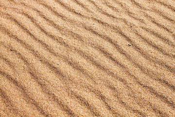 Fototapeta na wymiar Sands on the Beach