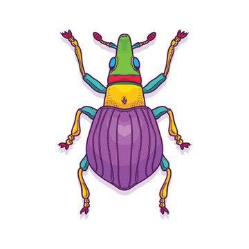 Vector Illustration of Colorful Beetle Bug Insect Hand Drawn, Apion artemisiae
