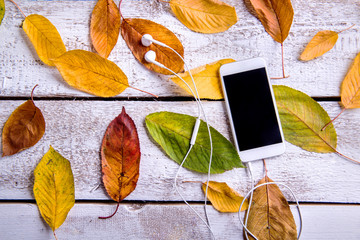 Fototapeta na wymiar Smart phone, earphones and autumn leaves. White wooden backgroun