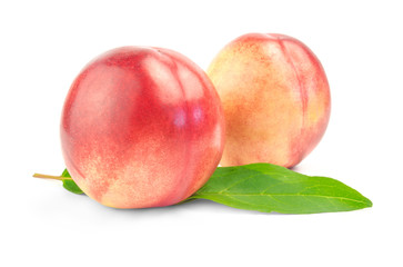 two nectarines with green leaves over white background