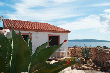 Formentera, Isole Baleari: una pianta di aloe e una casa bianca con il tetto rosso il 7 settembre...