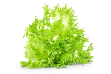 Fresh lettuce over white background