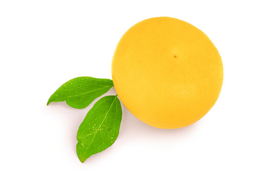 ripe switty isolated on a white background with green leaves