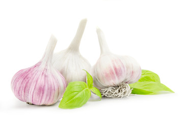 Three garlic on white background