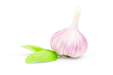 Raw garlic isolated on a white background