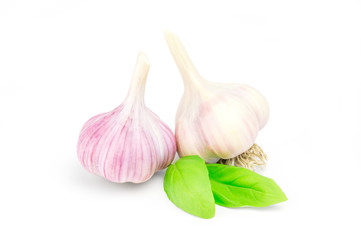 two heads garlic isolated on white background