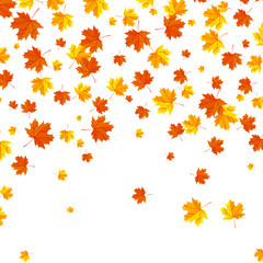 Fototapeta premium Falling autumn leaves background.