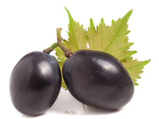 Two dark blue berries of grapes with leaf isolated on white background