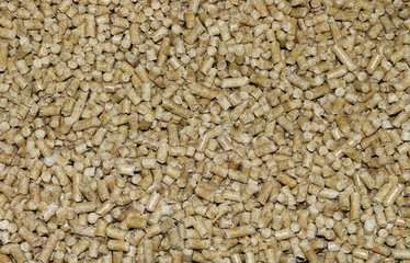 Biofuels, Bio fuels, eco fuel. Wood pellets in the background.. Wood filler used in cat litter. 