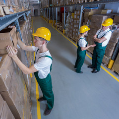 Plant workers during their work in warehouse