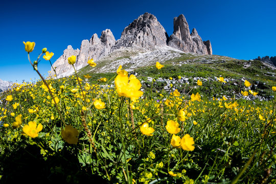 Summer Dolomites, Italy