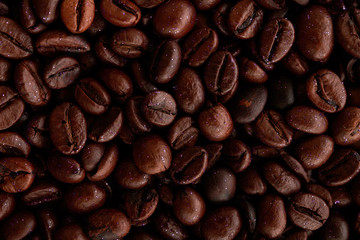 coffee beans closeup