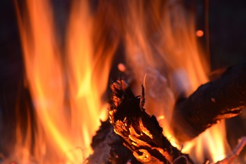 Огонь костра в лесу ночью