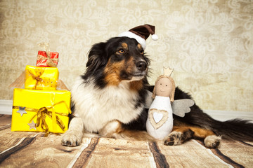 lieber Hund erhält viele Geschneke