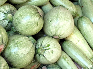 Tel Aviv zucchini 2011