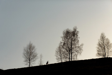 silhouette of woman walking on hill among trees
