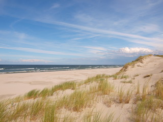 Fototapeta na wymiar plaża nad Bałtykiem