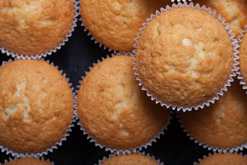 Fresh cupcake desert before decoration. Selective focus
