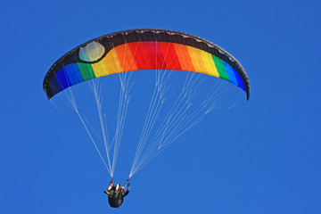 Paraglider