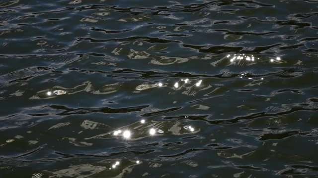 Slow motion of waves on dark water surface with play of flecks of sunshine. Amazing natural background for excellent intro in hypnotic full HD clip.
