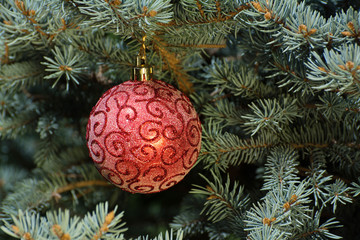 Obraz na płótnie Canvas Christmas red ball on the Christmas tree. New Year's toy.