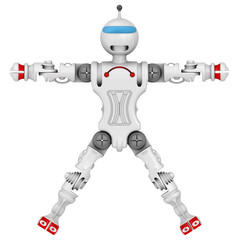 Humanoid robot