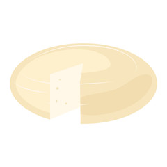Cheese vector illustration icon
