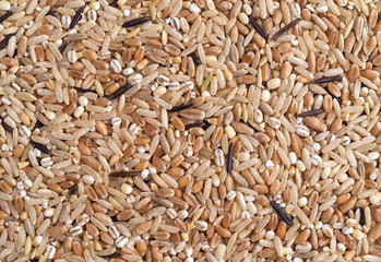 Close view of rice and grains